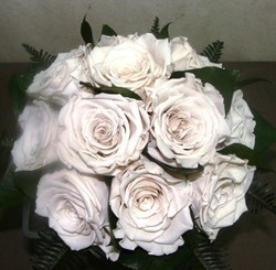 Rosas Brancas Preservadas Que Wedding O Ramalhete Flores Frescas Online