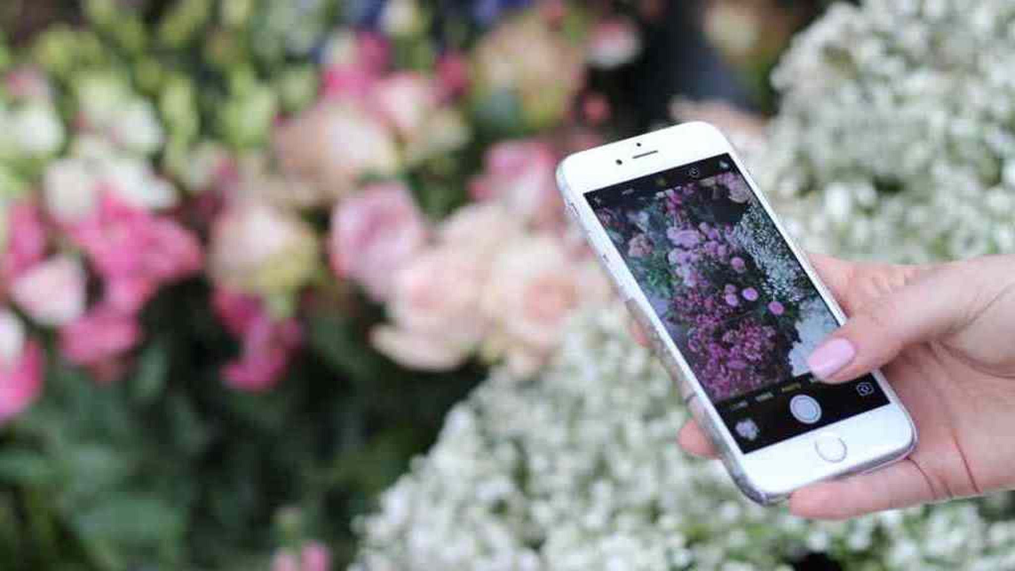 T'ajudem? 931.431.008