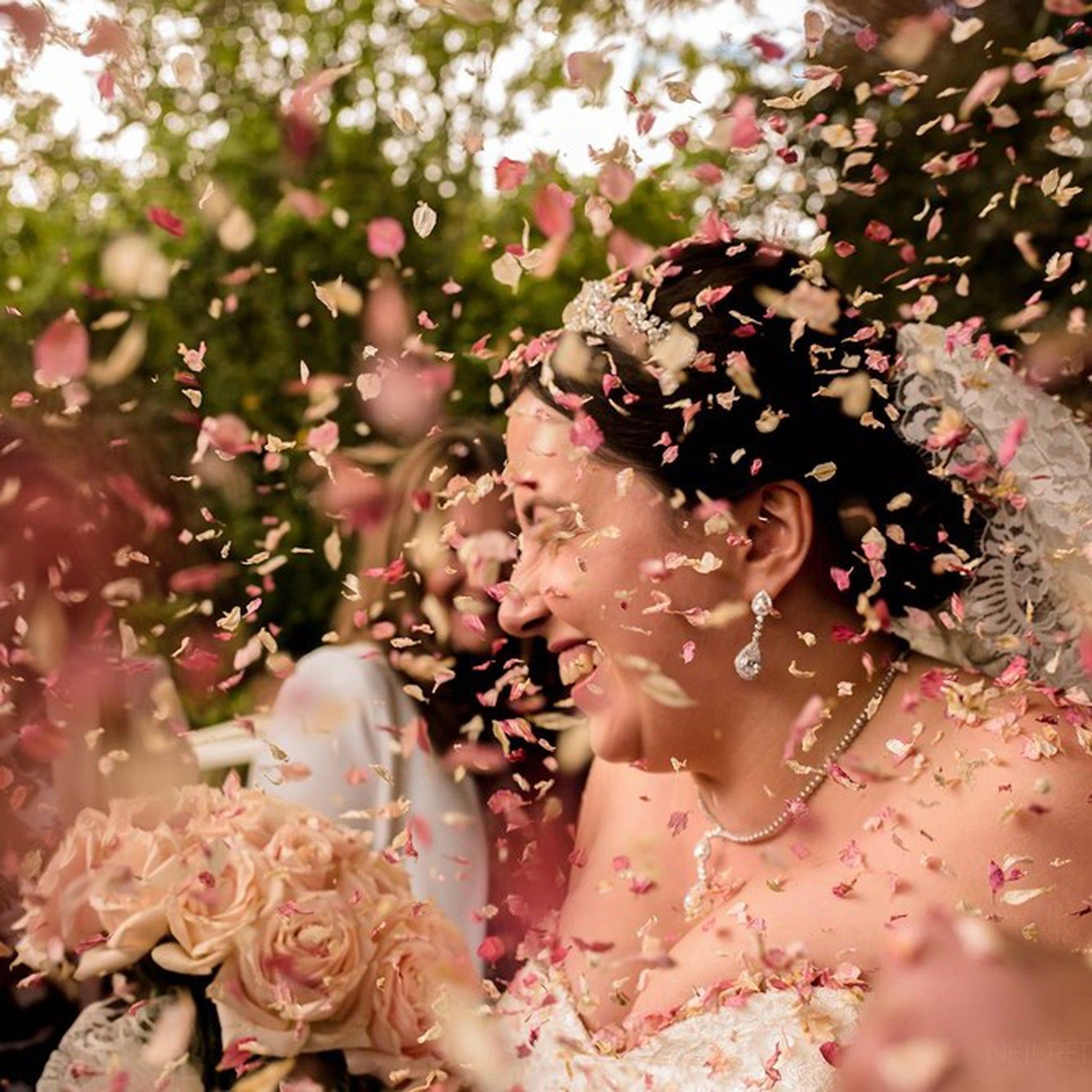 Pétalas de rosa naturais