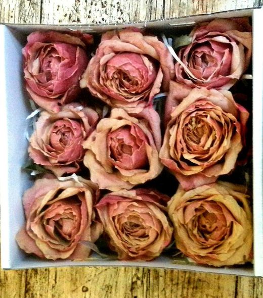 Rosas naturais preservadas premium