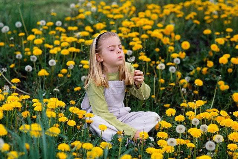 Fàbules i llegendes: Com van neixer totes les flors.