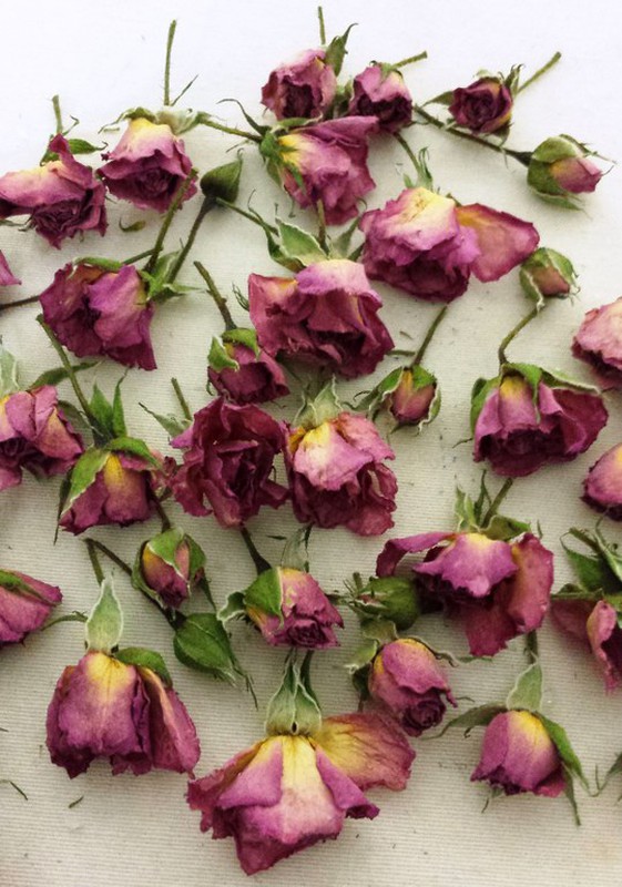 Pack Flores Secas Rosa — Floresfrescasonline