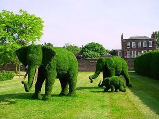 Descubra a arte do Topiary