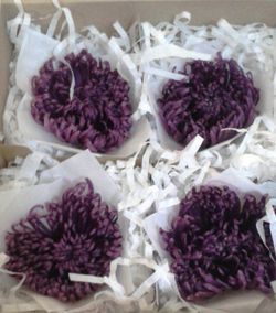 Flors Preservades Online