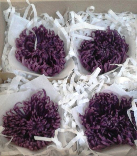Preserved Flowers Online
