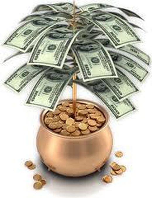 The Money Plant: Sorte para 2015