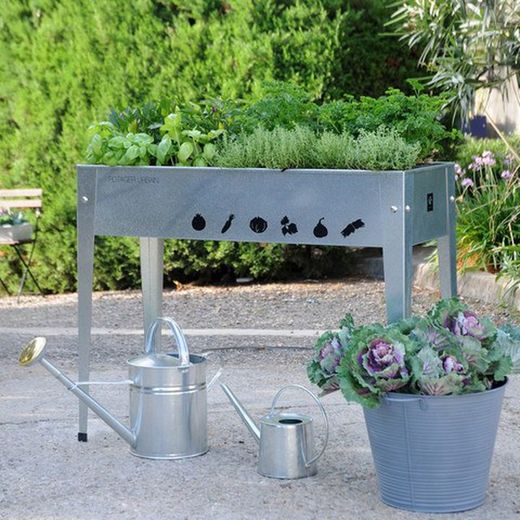 Horta urbana