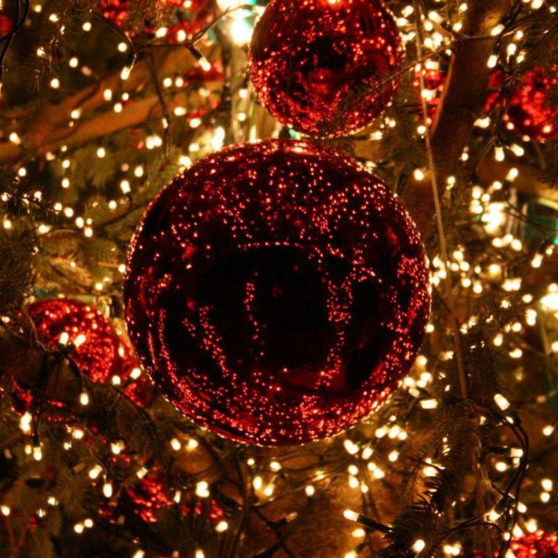 Entra y descubre una nueva Navidad...