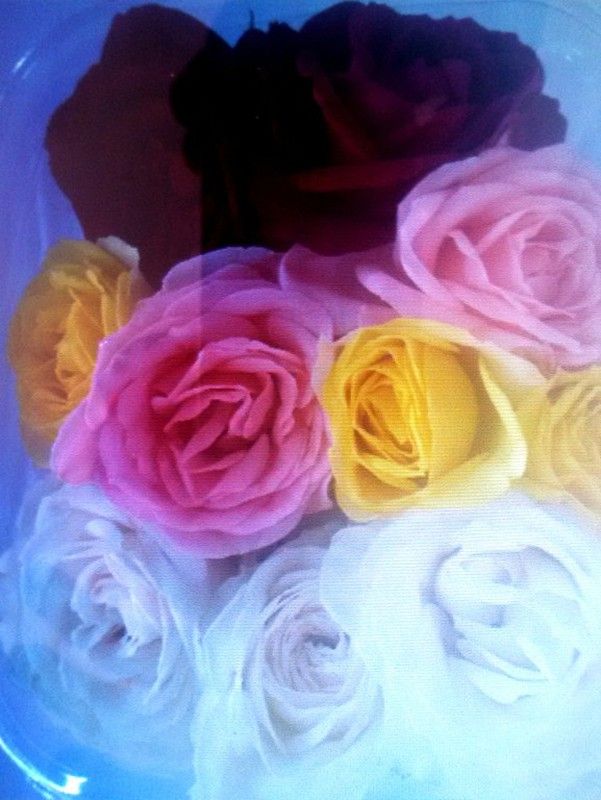 Pétalos de Rosa Comestibles