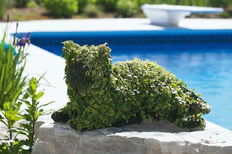 Gatos Arte Topiaria