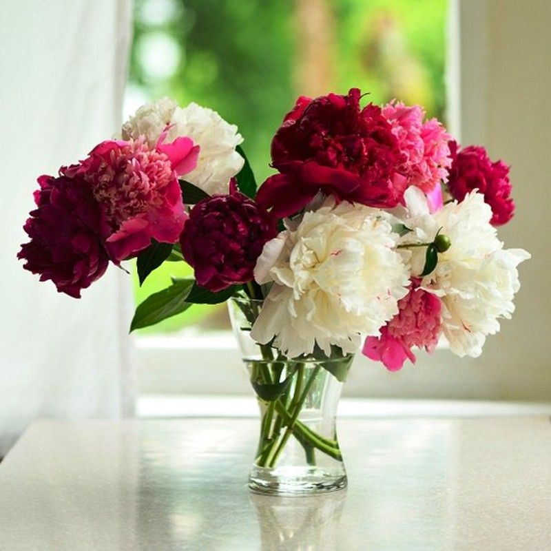 Comprar Flores Frescas...