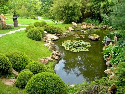 Como tener un jardín acuático