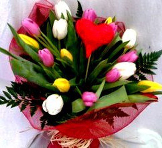 Regalar Tulipanes