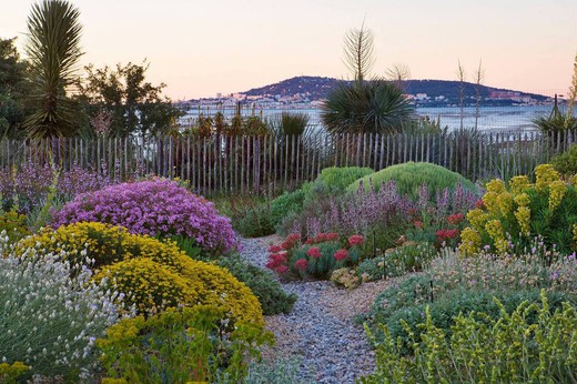 El Jardín Resiliente: Conservando la Belleza en Época de Sequía