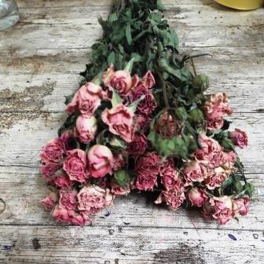 Rosas Secas para decorar — Floresfrescasonline