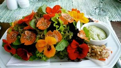 Flores Biológicas Comestibles...