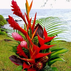 Flores tropicais e frutas decorativas