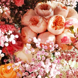 Ramos con las mejores flores naturales o preservadas con un diseño  exclusivo y actual. — Floresfrescasonline