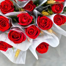5 ideas para conservar tus rosas secas Sant Jordi 