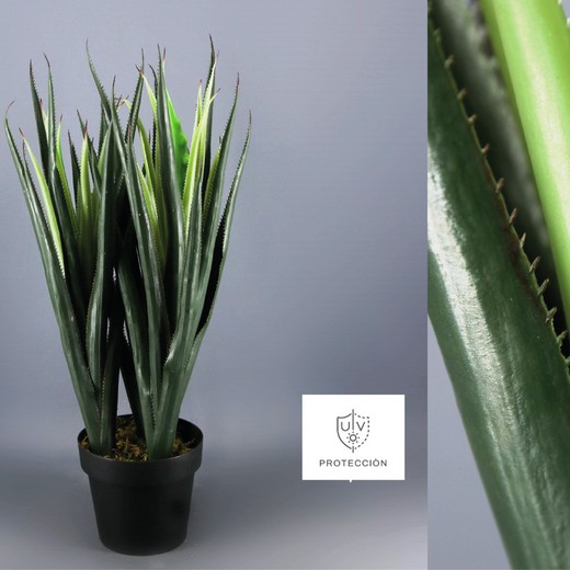 Aloe Arborescens Ignifugo Artificial