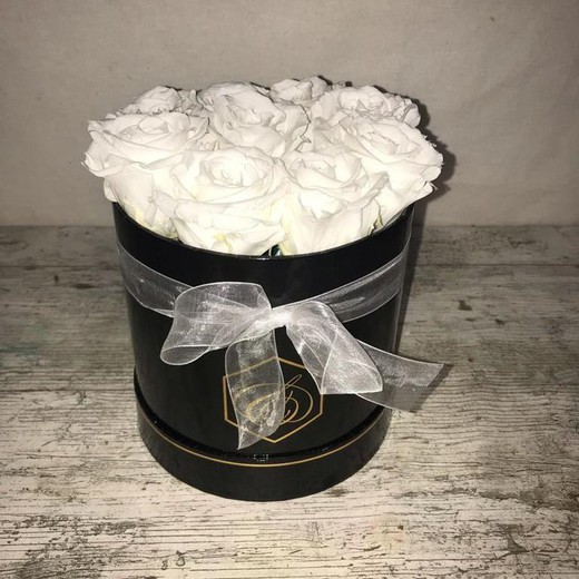 Black Box White Roses