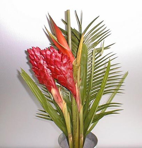Bouquet de Heliconias