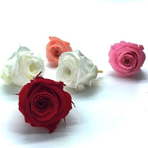 Mini Cabeças de Rosa em Conserva 6 peças.