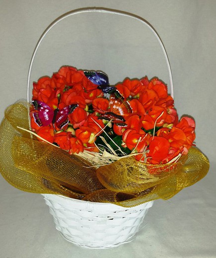 Begonia Elatior Basket