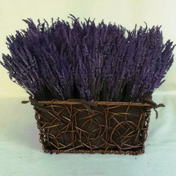 Precios de lavanda — Floresfrescasonline