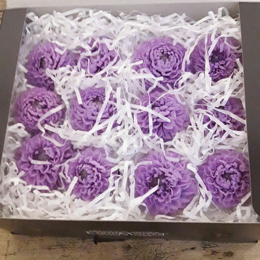 Dalias S Preservadas Caja 6 uds.