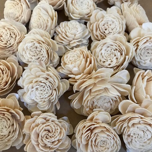 Flor Branca Seca (24 unidades)