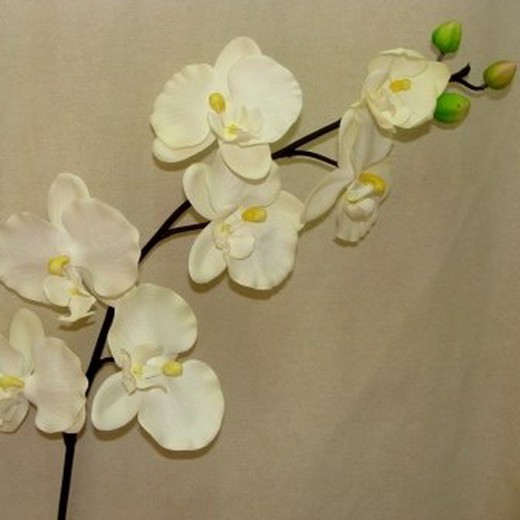 Comprar Gypsophila paniculata blanca artificial 65 cm - Verdecora