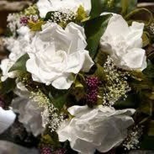 Gardenias Preservades Caixa 3 uts.