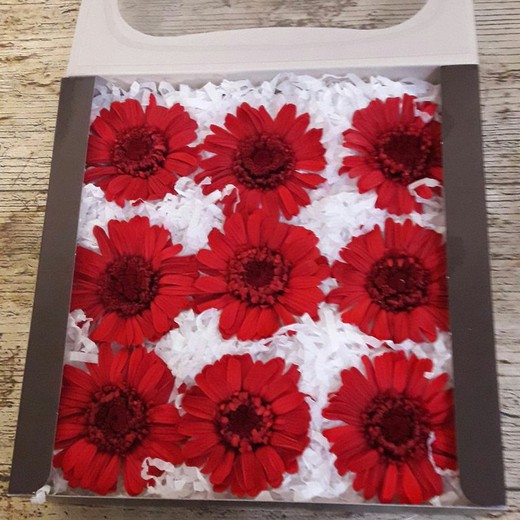 Gerberas Preservadas caja 6 uds.