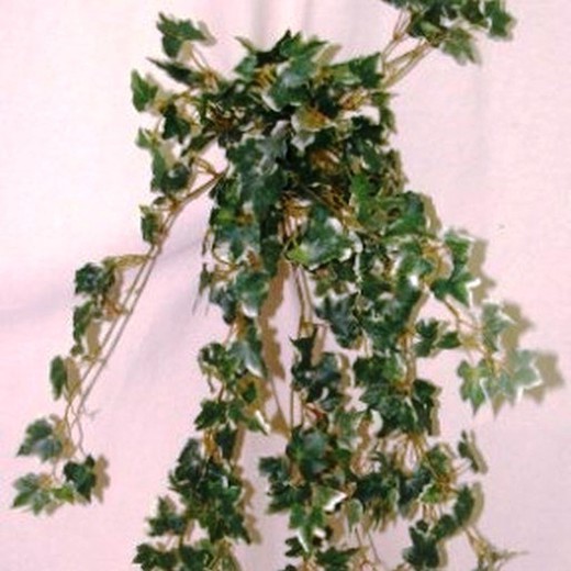 Lierre artificiel Variegata