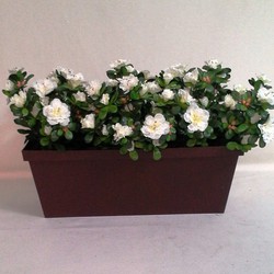 Jardinera Azaleas Artificiales — Floresfrescasonline