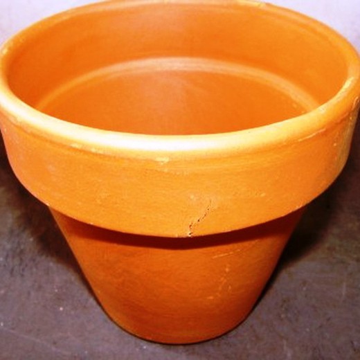 Vaso de Terracota Clássico 10 un.