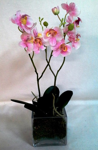 Vaso de flores de cristal de orquídea artificial