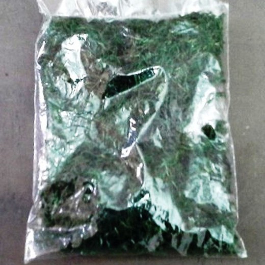 Musgo Teñido Verde 50 gr