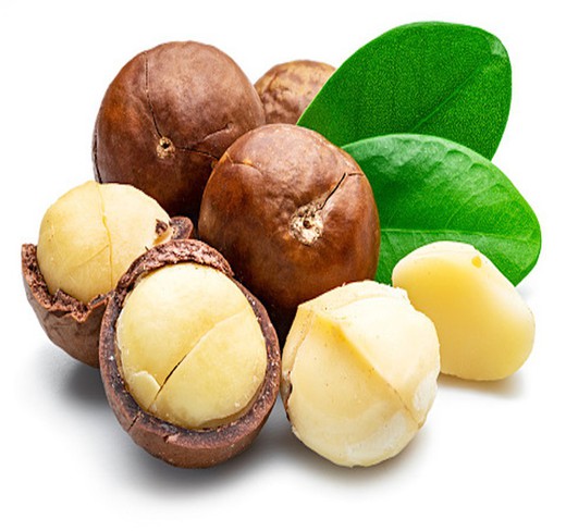 Nuez de Macadamia