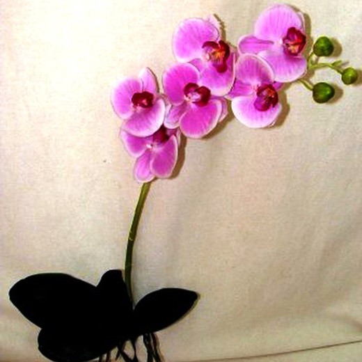 Orquidea Phalaenopsis Artificial