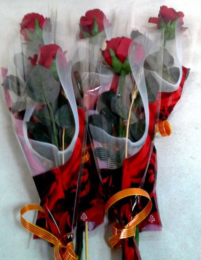 Pack 5 Rosas Sant Jordi