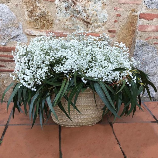 Pacote DIY White Pure Basket