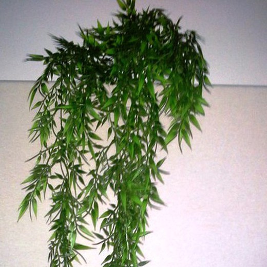 Planta de suspensão artificial de bambu