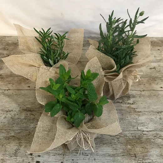 Caixa de saco de plantas aromáticas 15 plantas