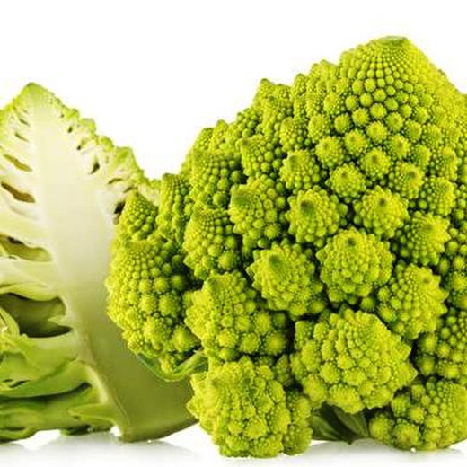 Plants de chou-fleur Romanesco MPS Pack de 6 unités