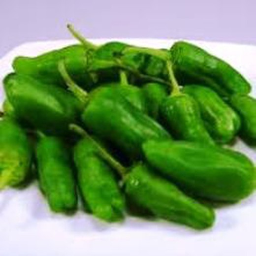 Padron Peppers Campus