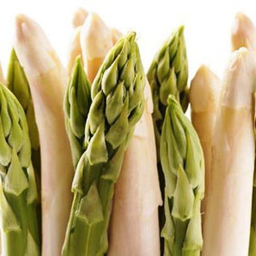 Racines d'asperges, paquet de 10 unités