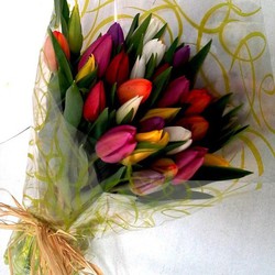Ramo 30 Tulipanes Día de la Madre — Floresfrescasonline