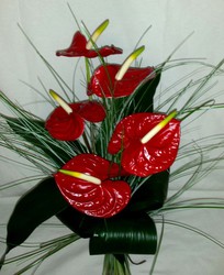 Buquê de antúrio vermelho — Flores Frescas Online